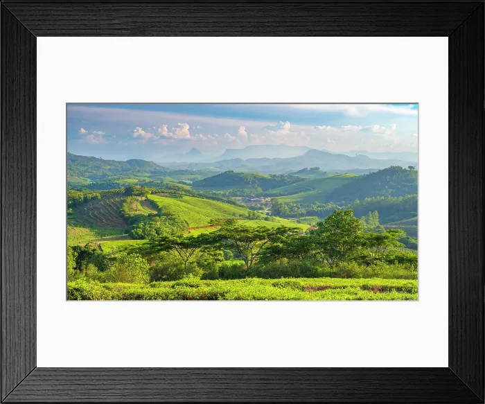 Framed Print : africa, Zimbabwe, Eastern Highlands, Honde Valley. The hills with tea plantations near to Aberfoyle Lodge