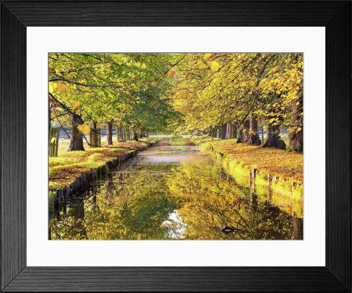 Framed Print : Autumn reflections in Bushy Park, London, England Framed Print : Autumn reflections in Bushy Park, London, England