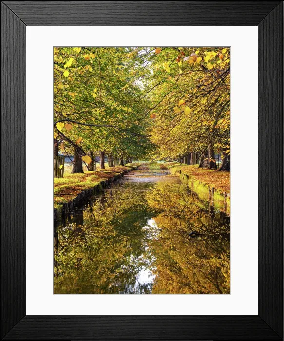 Framed Print : Autumn reflections in Bushy Park, London, England Framed Print : Autumn reflections in Bushy Park, London, England