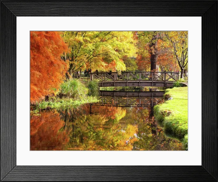 Framed Print : Autumnal reflections in Woodland Gardens of Bushy Park, London, England Framed Print : Autumnal reflections in Woodland Gardens of Bushy Park, London, England