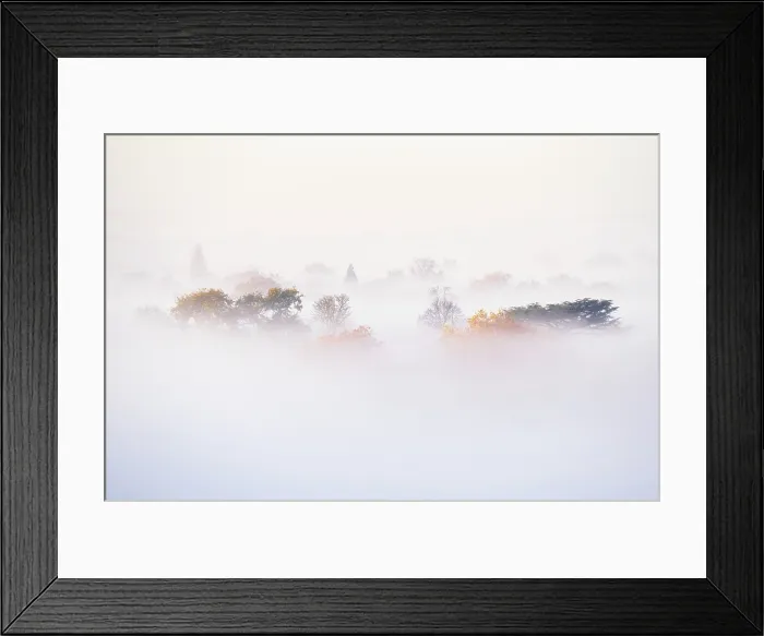 Framed Print : Misty morning views from Richmond Hill towards River Thames and the trees, Richmond, London, England Framed Print : Misty morning views from Richmond Hill towards River Thames and the trees, Richmond, London, England