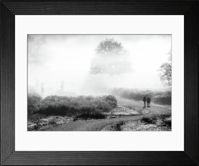 Framed Print : Walkers in Richmond Park on a misty autumn morning, Richmond, London, England Framed Print : Walkers in Richmond Park on a misty autumn morning, Richmond, London, England