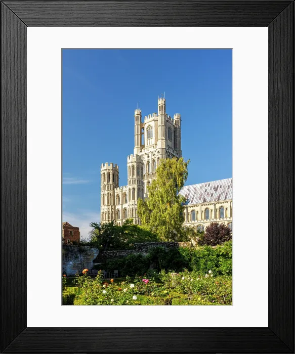 Framed Print : Ely Cathedral, Ely, Cambridgeshire, England, UK Framed Print : Ely Cathedral, Ely, Cambridgeshire, England, UK