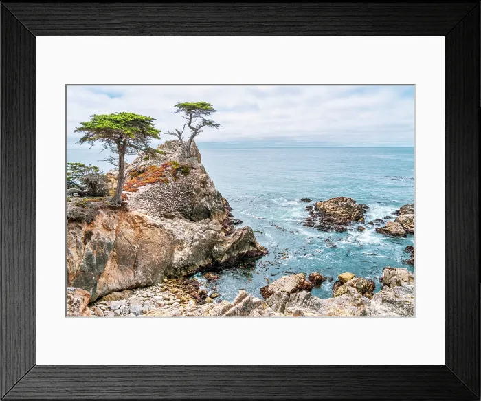 Framed Print : Lone Cypress, Pebble Beach, Monterey Peninsula, California, USA Framed Print : Lone Cypress, Pebble Beach, Monterey Peninsula, California, USA