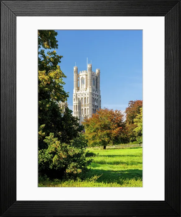 Framed Print : Ely Cathedral, Ely, Cambridgeshire, England, UK Framed Print : Ely Cathedral, Ely, Cambridgeshire, England, UK