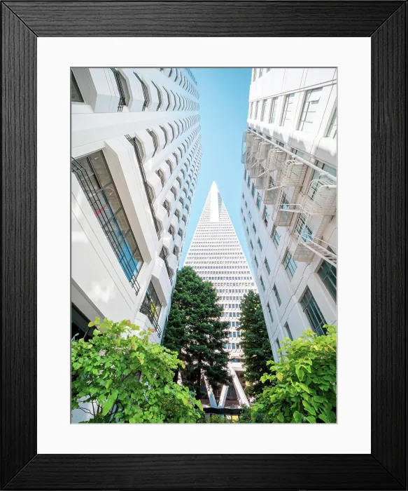 Framed Print : Transamerica Pyramid Building Downtown, San Francisco, California, USA Framed Print : Transamerica Pyramid Building Downtown, San Francisco, California, USA
