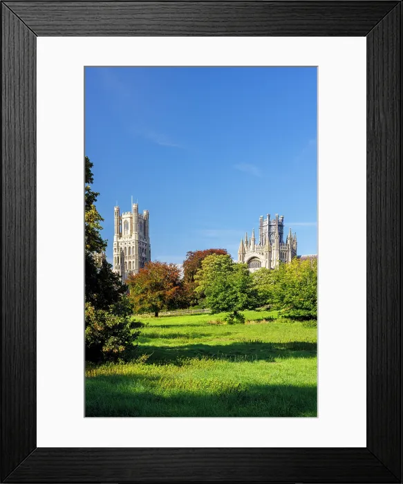 Framed Print : Ely Cathedral, Ely, Cambridgeshire, England, UK Framed Print : Ely Cathedral, Ely, Cambridgeshire, England, UK