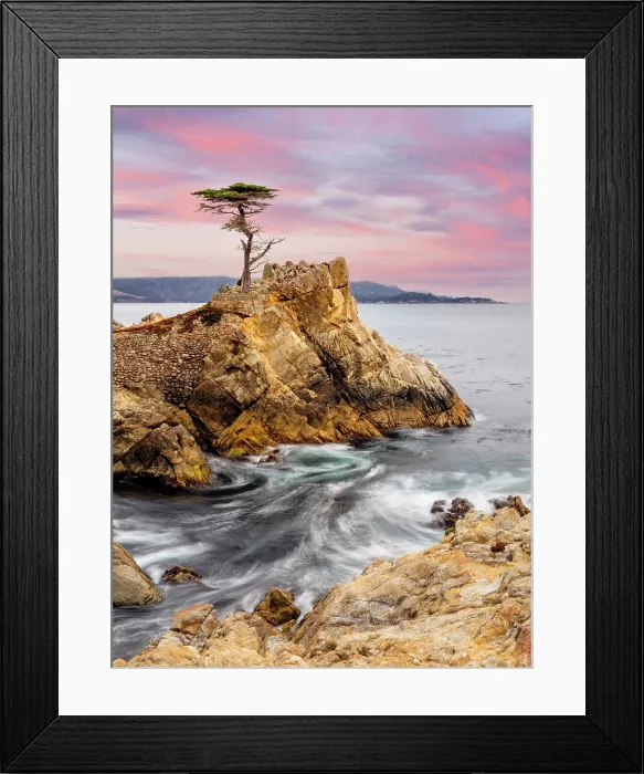 Framed Print : Lone Cypress, Pebble Beach, Monterey Peninsula, California, USA Framed Print : Lone Cypress, Pebble Beach, Monterey Peninsula, California, USA