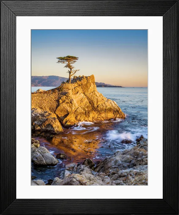 Framed Print : Lone Cypress, Pebble Beach, Monterey Peninsula, California, USA Framed Print : Lone Cypress, Pebble Beach, Monterey Peninsula, California, USA