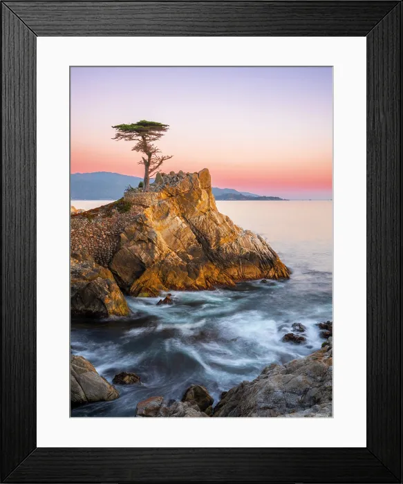 Framed Print : Lone Cypress, Pebble Beach, Monterey Peninsula, California, USA Framed Print : Lone Cypress, Pebble Beach, Monterey Peninsula, California, USA