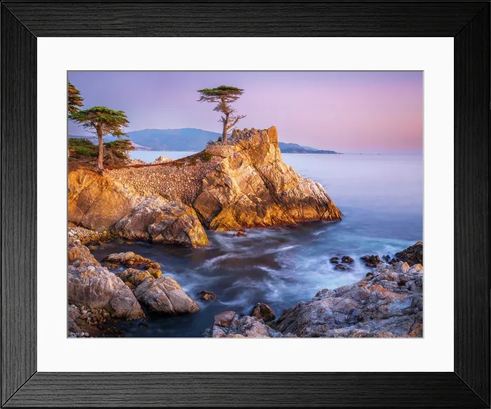 Framed Print : Lone Cypress, Pebble Beach, Monterey Peninsula, California, USA Framed Print : Lone Cypress, Pebble Beach, Monterey Peninsula, California, USA