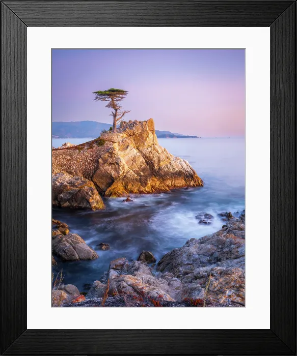 Framed Print : Lone Cypress, Pebble Beach, Monterey Peninsula, California, USA Framed Print : Lone Cypress, Pebble Beach, Monterey Peninsula, California, USA