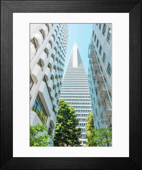 Framed Print : Downtown, San Francisco, Transamerica Pyramid, San Francisco, California, USA Framed Print : Downtown, San Francisco, Transamerica Pyramid, San Francisco, California, USA