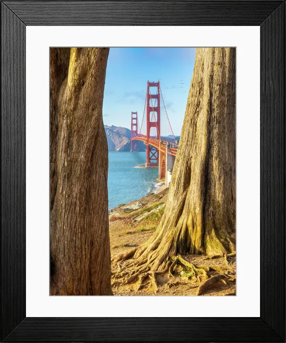 Framed Print : Golden Gate Bridge, San Francisco, California, USA Framed Print : Golden Gate Bridge, San Francisco, California, USA