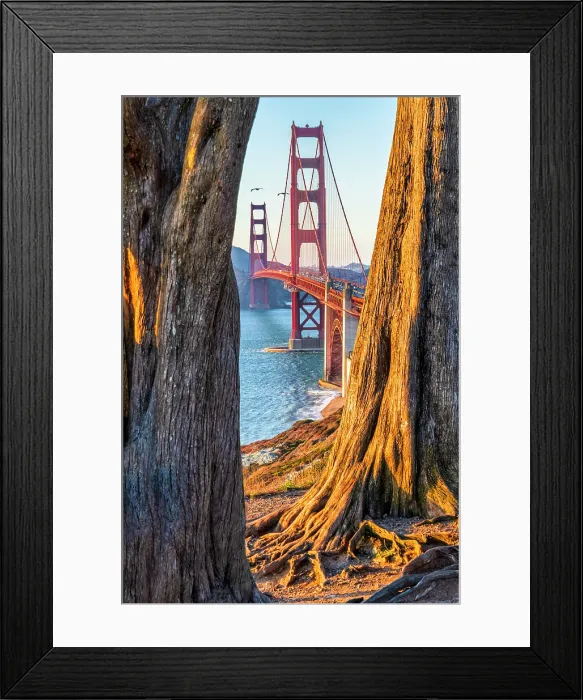 Framed Print : Golden Gate Bridge, San Francisco, California, USA Framed Print : Golden Gate Bridge, San Francisco, California, USA