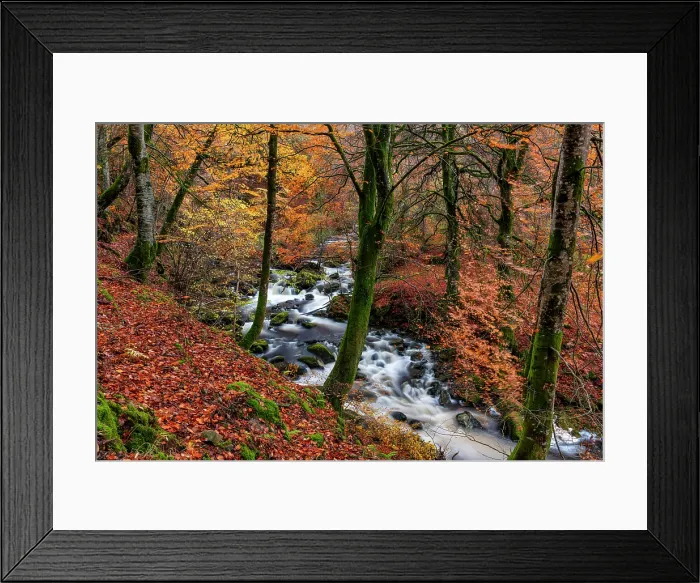 Framed Print : Birks of Aberfeldy in Autumn, Perthshire, Scotland Framed Print : Birks of Aberfeldy in Autumn, Perthshire, Scotland