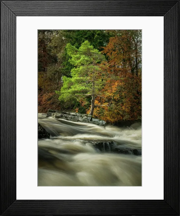 Framed Print : Falls of Dochart in Autumn, Killin, Perthshire, Scotland Framed Print : Falls of Dochart in Autumn, Killin, Perthshire, Scotland