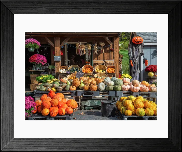 Framed Print : USA New England, East Coast, Massachussetts, Franklin County, Deerfield, Farmstand Framed Print : USA New England, East Coast, Massachussetts, Franklin County, Deerfield, Farmstand