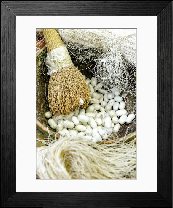 Framed Print : Silkworm cocoons for carpet making, Avanos, Cappadocia, Nevsehir Province, Central Anatolia, Turkey Framed Print : Silkworm cocoons for carpet making, Avanos, Cappadocia, Nevsehir Province, Central Anatolia, Turkey