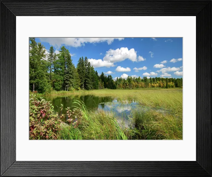 Framed Print : USA, Minnesota, Itasca State Park, Mississippi Headwaters Framed Print : USA, Minnesota, Itasca State Park, Mississippi Headwaters
