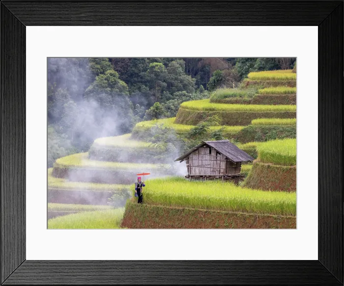 Framed Print : Rice terraces, Mu Cang Chai, Northwest Vietnam, Asia Framed Print : Rice terraces, Mu Cang Chai, Northwest Vietnam, Asia