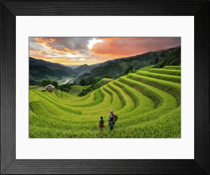 Framed Print : Sang Nhu horseshoe rice terraces at sunset, Mu Cang Chai, Northwest Vietnam, Asia Framed Print : Sang Nhu horseshoe rice terraces at sunset, Mu Cang Chai, Northwest Vietnam, Asia