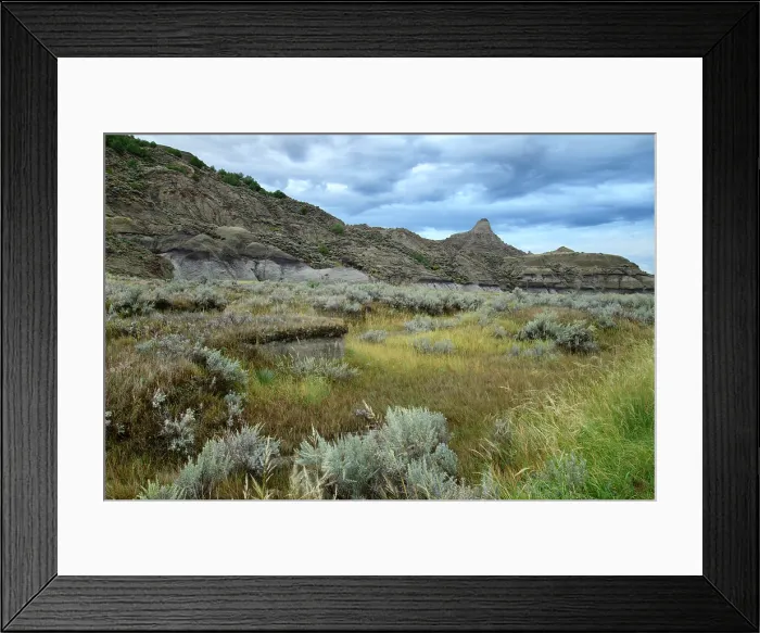 Framed Print : Great Plains, Montana, Eastern, Glendive, Makoshika State Park, Badlands