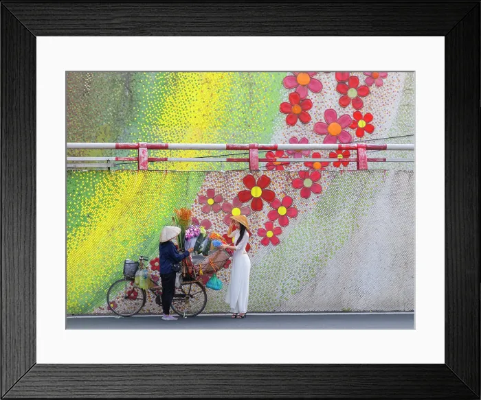 Framed Print : Flower seller with her bicycle by the famous ceramic flower mural, Hanoi, North Vietnam, Asia Framed Print : Flower seller with her bicycle by the famous ceramic flower mural, Hanoi, North Vietnam, Asia