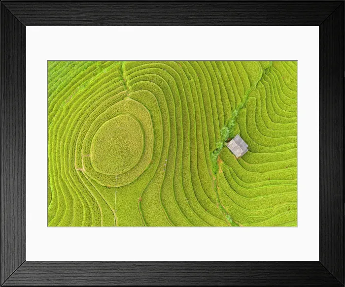 Framed Print : Aerial view of rice terraces, Mu Cang Chai, Northwest Vietnam, Asia Framed Print : Aerial view of rice terraces, Mu Cang Chai, Northwest Vietnam, Asia