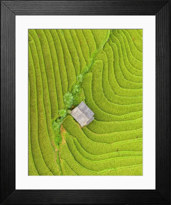 Framed Print : Aerial view of rice terraces, Mu Cang Chai, Northwest Vietnam, Asia Framed Print : Aerial view of rice terraces, Mu Cang Chai, Northwest Vietnam, Asia