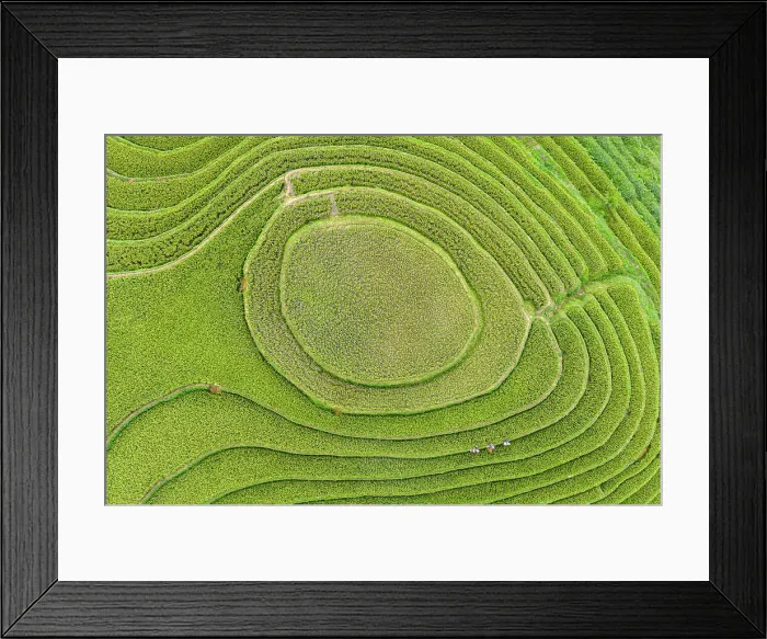 Framed Print : Aerial view of rice terraces, Mu Cang Chai, Northwest Vietnam, Asia