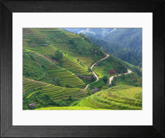Framed Print : Aerial view of rice terraces, Mu Cang Chai, Northwest Vietnam, Asia Framed Print : Aerial view of rice terraces, Mu Cang Chai, Northwest Vietnam, Asia