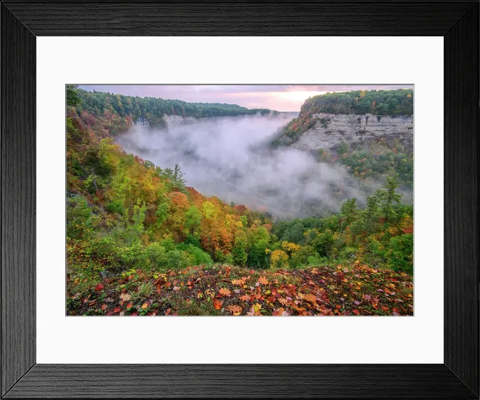 Framed Print : USA, New York, Upstate, Livingston and Wyoming Counties, Letchworth State Park, sunrise Framed Print : USA, New York, Upstate, Livingston and Wyoming Counties, Letchworth State Park, sunrise