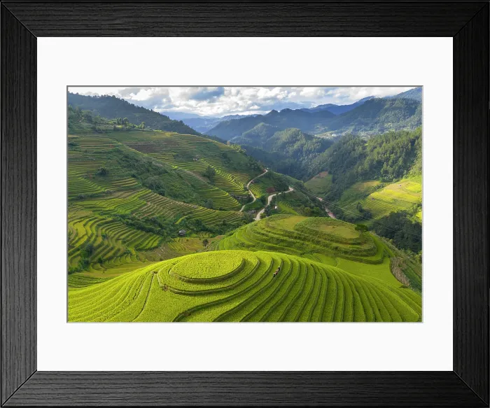 Framed Print : Aerial view of rice terraces, Mu Cang Chai, Northwest Vietnam, Asia