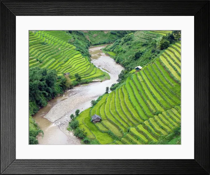 Framed Print : Aerial view of rice terraces, Mu Cang Chai, Northwest Vietnam, Asia Framed Print : Aerial view of rice terraces, Mu Cang Chai, Northwest Vietnam, Asia