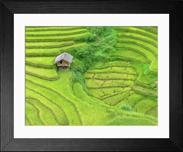 Framed Print : Aerial view of rice terraces, Mu Cang Chai, Northwest Vietnam, Asia Framed Print : Aerial view of rice terraces, Mu Cang Chai, Northwest Vietnam, Asia