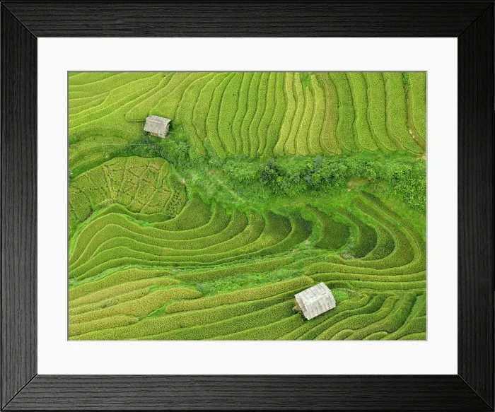 Framed Print : Aerial view of rice terraces, Mu Cang Chai, Northwest Vietnam, Asia Framed Print : Aerial view of rice terraces, Mu Cang Chai, Northwest Vietnam, Asia