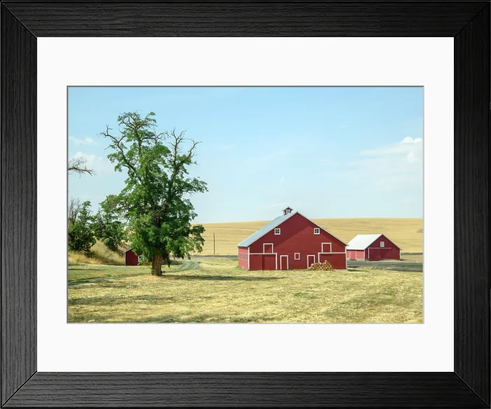Framed Print : USA, Washington, Palouse, Barn