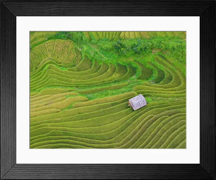 Framed Print : Aerial view of rice terraces, Mu Cang Chai, Northwest Vietnam, Asia Framed Print : Aerial view of rice terraces, Mu Cang Chai, Northwest Vietnam, Asia