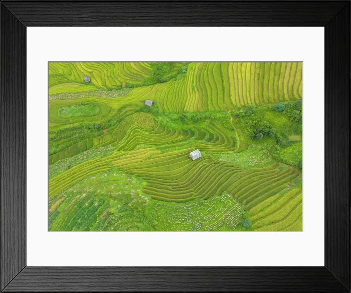 Framed Print : Aerial view of rice terraces, Mu Cang Chai, Northwest Vietnam, Asia Framed Print : Aerial view of rice terraces, Mu Cang Chai, Northwest Vietnam, Asia