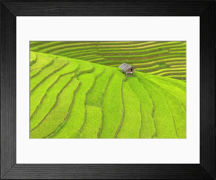 Framed Print : Rice terraces, Mu Cang Chai, Northwest Vietnam, Asia Framed Print : Rice terraces, Mu Cang Chai, Northwest Vietnam, Asia