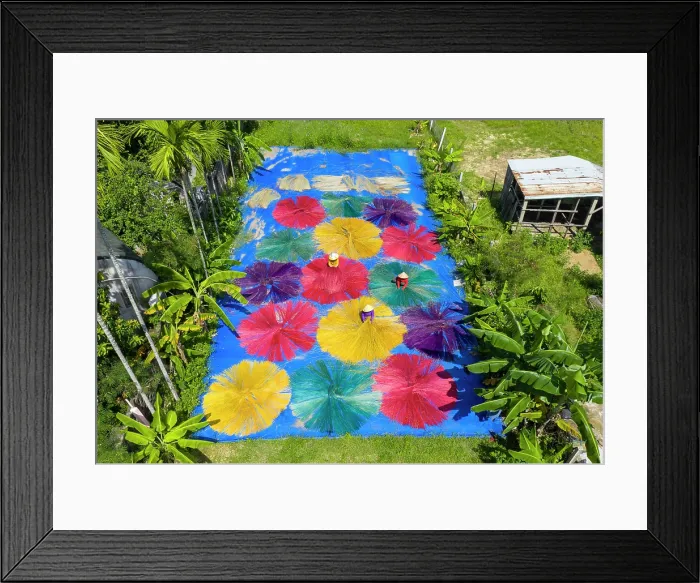 Framed Print : Laying dyed sedge out to dry, used to make sleeping mats, near Hoi An, Central Vietnam, Asia Framed Print : Laying dyed sedge out to dry, used to make sleeping mats, near Hoi An, Central Vietnam, Asia