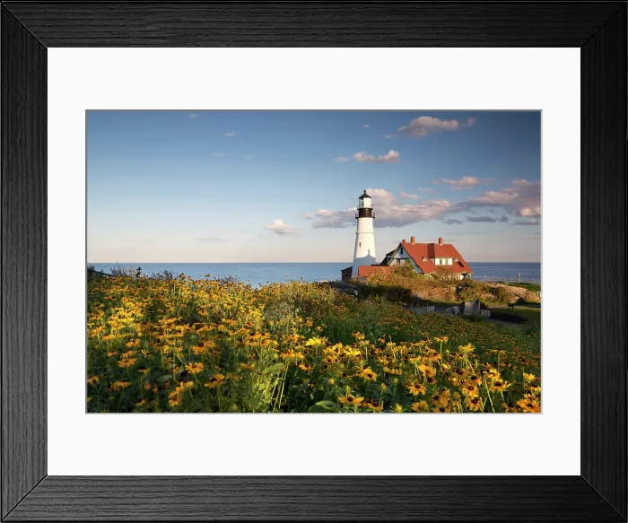 Framed Print : United States of America, Maine, New England, Portland, Yellow flowers in front Portland Head lighthouse Framed Print : United States of America, Maine, New England, Portland, Yellow flowers in front Portland Head lighthouse