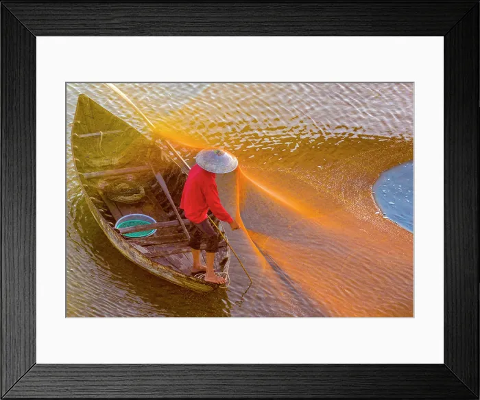 Framed Print : Local fisherman checking his net, Cua Dai village, near Hoi An, Central Vietnam, Asia Framed Print : Local fisherman checking his net, Cua Dai village, near Hoi An, Central Vietnam, Asia