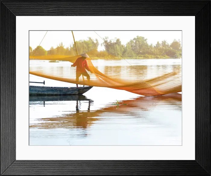 Framed Print : Local fisherman checking his net, Cua Dai village, near Hoi An, Central Vietnam, Asia Framed Print : Local fisherman checking his net, Cua Dai village, near Hoi An, Central Vietnam, Asia