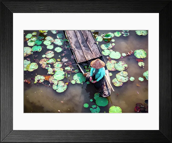 Framed Print : Woman sitting on a boat in a river full of lotus leaves, Mekong Delta, Vietnam. (MR)