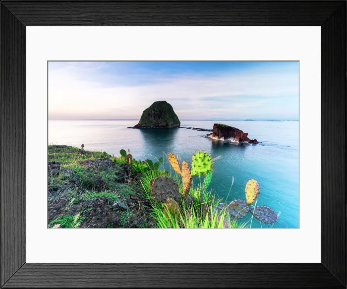 Framed Print : Cactus overlooking the South China Sea, Tuy An, Phu Yen Province, Vietnam Framed Print : Cactus overlooking the South China Sea, Tuy An, Phu Yen Province, Vietnam