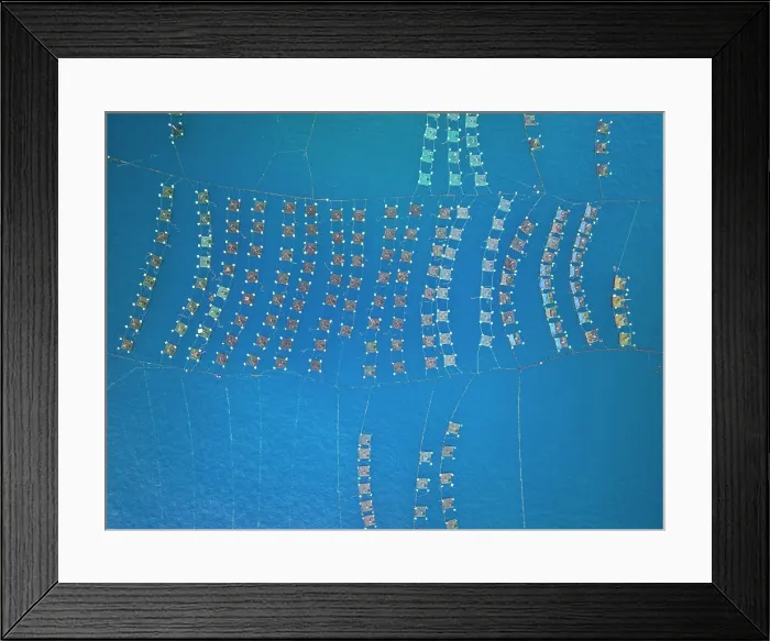 Framed Print : Aerial view of floating lobster cages, Tuy An, Phu Yen Province, Vietnam Framed Print : Aerial view of floating lobster cages, Tuy An, Phu Yen Province, Vietnam