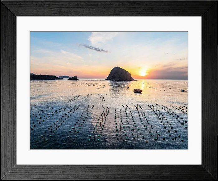 Framed Print : Traditional lobster farming with floating cages, Tuy An, Phu Yen Province, Vietnam