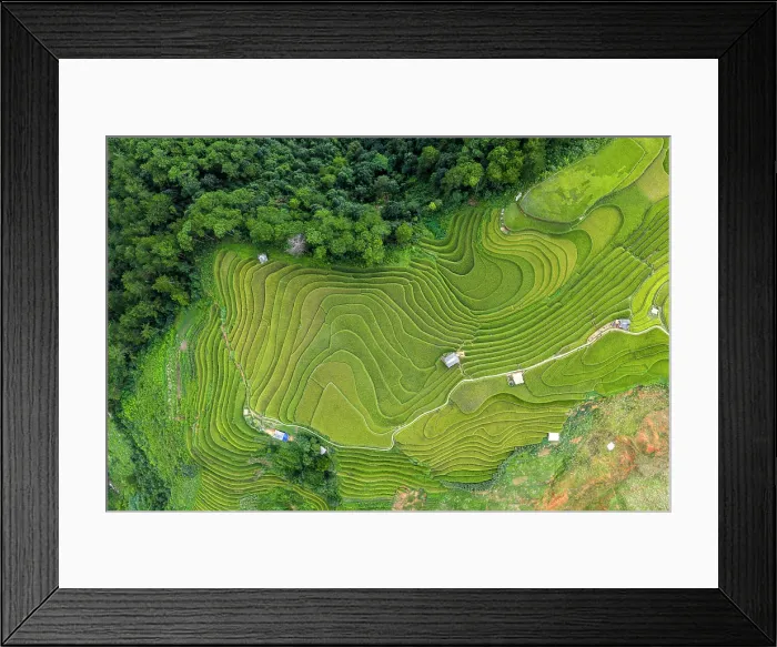 Framed Print : Aerial view of rice terraces, Mu Cang Chai, Northwest Vietnam, Asia Framed Print : Aerial view of rice terraces, Mu Cang Chai, Northwest Vietnam, Asia